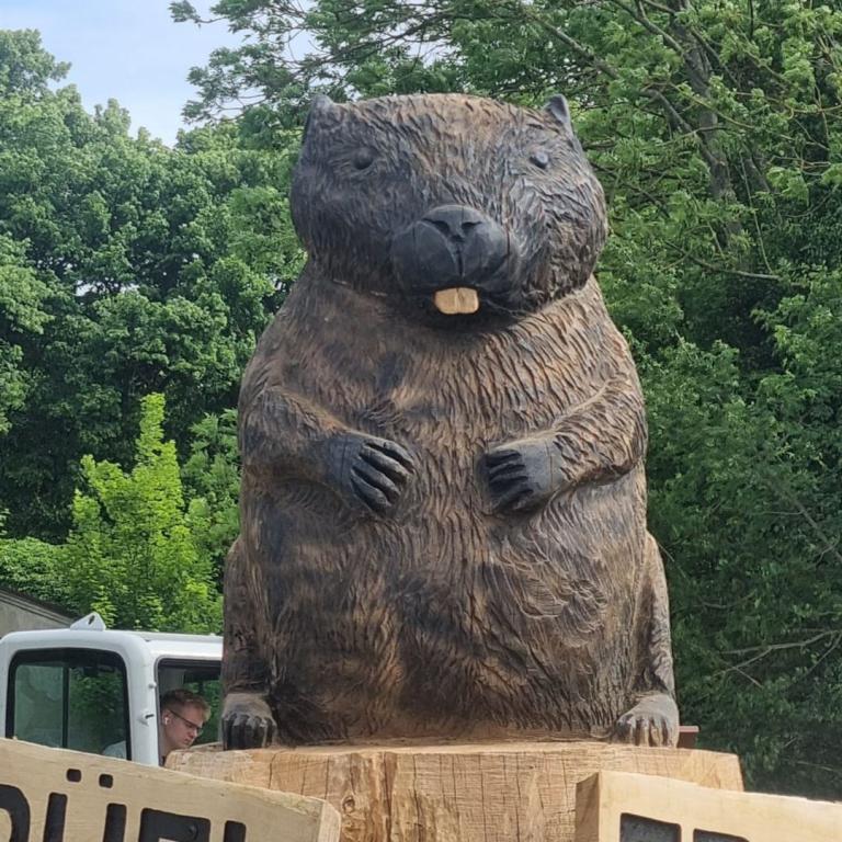 WhatsApp Bild 2025-05-27 um 12.03.28_9aadfb13