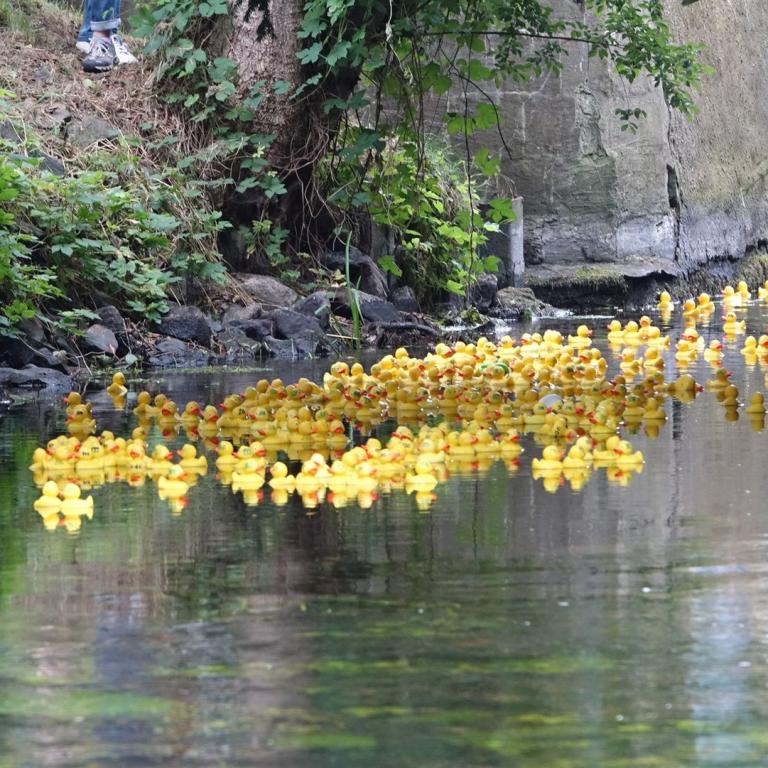 Stadfest_12.07.2025_009