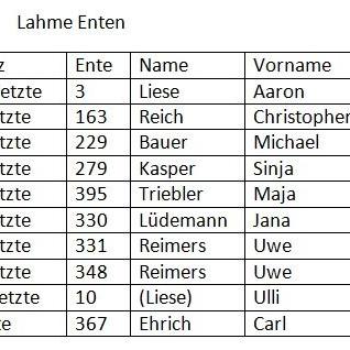 Gewinner Enten_01
