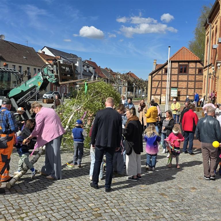 Maibaum2026_01