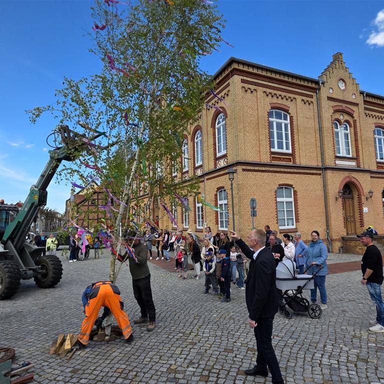 Maibaum2026_05