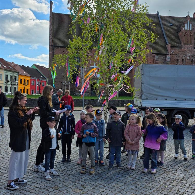 Maibaum2026_08