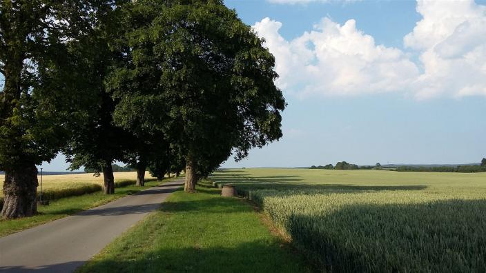 Dagmar Zipkat - Langen Jarchow Richtung Neuhof