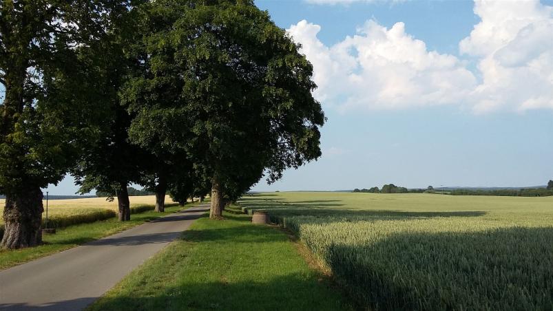Dagmar Zipkat - Langen Jarchow Richtung Neuhof