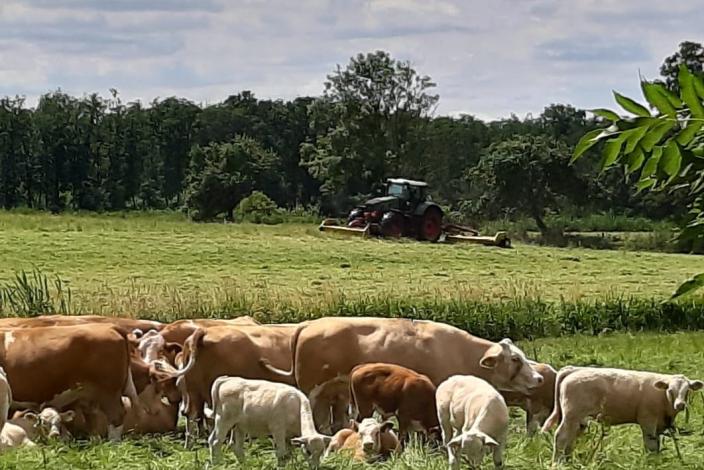 Heike Wieland - Grassilo  in Gustävel