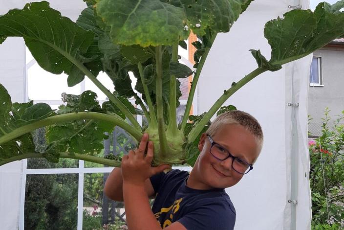 Karin Meier - Enkel Lenny Rieckhoff bei der Kohlrabi-Ernte in Zahrensdorf