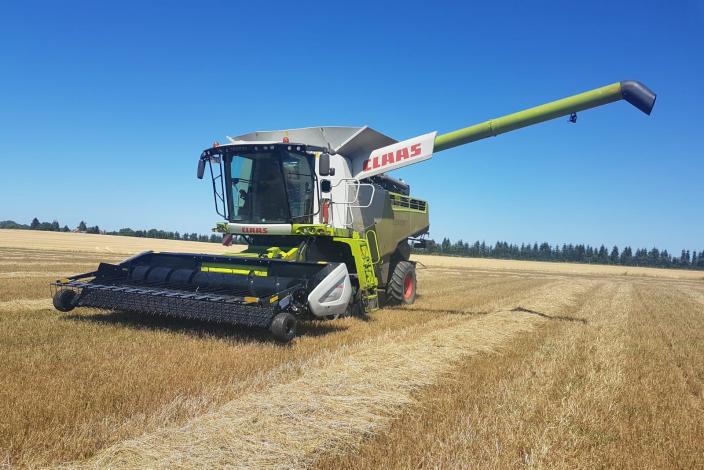 Pascal Went - Grasssamen Ernten in Langen Brütz