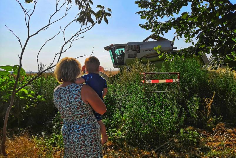 Anja Ihde - Ortseingang in Brüel, Hinter dem Haus