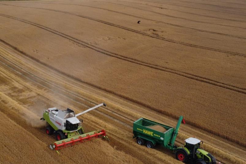 Heike Wieland - Lwg  Zahrensdorf Kreuzung Tempzin  mit Blick zum Silo