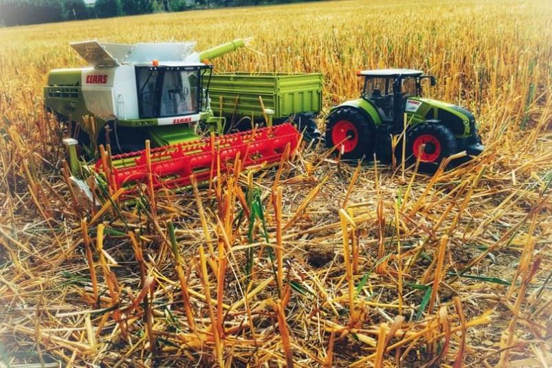 Mad Din - Auch unser kleiner war mit seinem Fuhrpark fleißig dabei